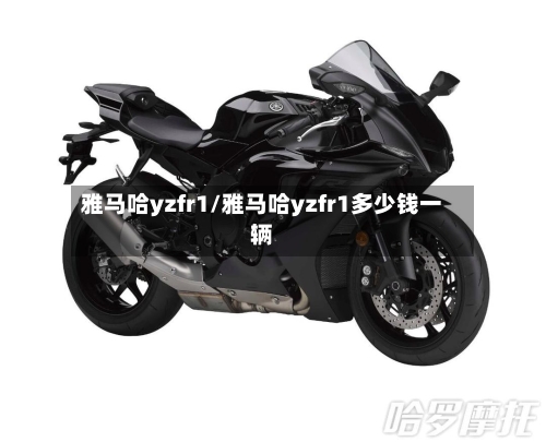 雅马哈yzfr1/雅马哈yzfr1多少钱一辆-第1张图片
