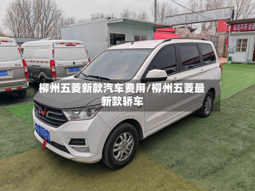 柳州五菱新款汽车费用/柳州五菱最新款轿车-第1张图片