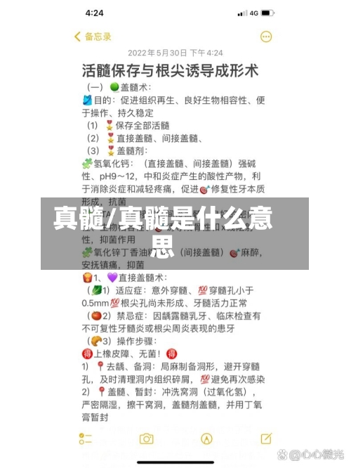 真髓/真髓是什么意思-第1张图片