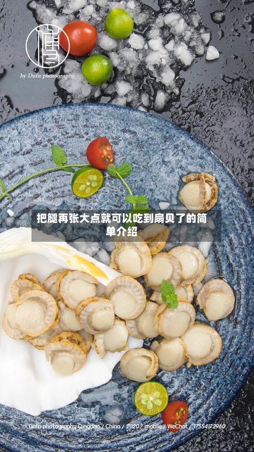 把腿再张大点就可以吃到扇贝了的简单介绍-第3张图片