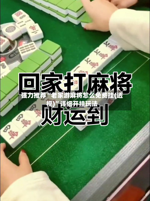 强力推荐“老家游麻将怎么免费挂(透视)	”详细开挂玩法-第1张图片