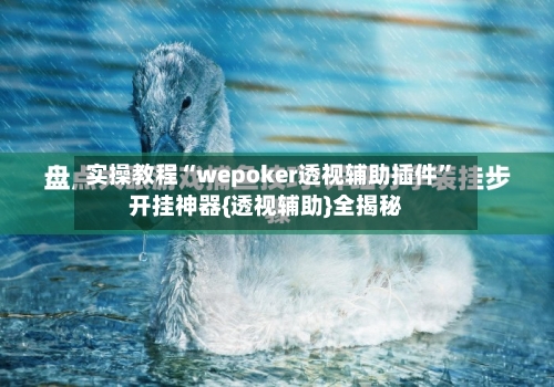 实操教程“wepoker透视辅助插件”开挂神器{透视辅助}全揭秘-第2张图片