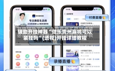 辅助开挂神器“微乐贵州麻将可以装挂吗”(透视)开挂详细教程-第1张图片