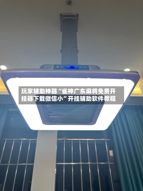 玩家辅助神器“雀神广东麻将免费开挂器下载微信小	”开挂辅助软件教程-第2张图片