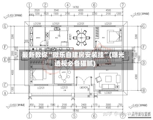 最新教你“微乐自建房安装挂	”(曝光透视必备猫腻)-第2张图片