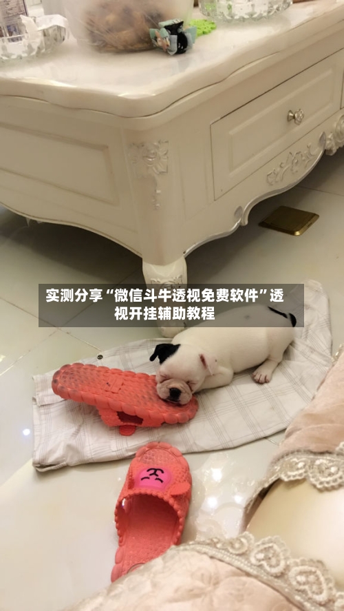 实测分享“微信斗牛透视免费软件”透视开挂辅助教程-第2张图片