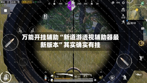 万能开挂辅助“新道游透视辅助器最新版本”其实确实有挂-第2张图片