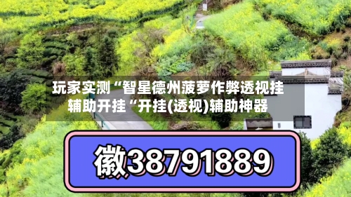 玩家实测“智星德州菠萝作弊透视挂辅助开挂“开挂(透视)辅助神器-第1张图片