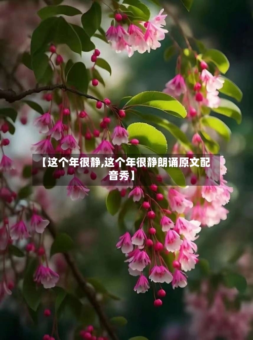 【这个年很静,这个年很静朗诵原文配音秀】-第3张图片