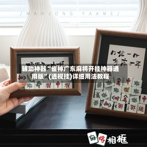 辅助神器“雀神广东麻将开挂神器通用版”(透视挂)详细用法教程-第3张图片