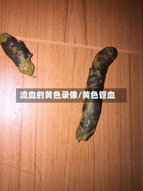 流血的黄色录像/黄色管血-第1张图片