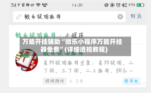 万能开挂辅助“微乐小程序万能开挂器免费”(详细透视教程)-第3张图片