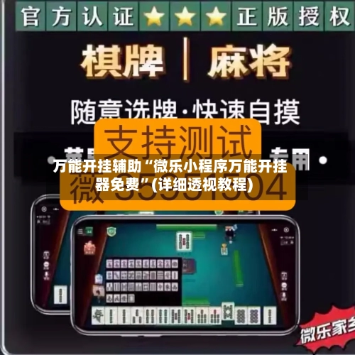 万能开挂辅助“微乐小程序万能开挂器免费”(详细透视教程)-第2张图片