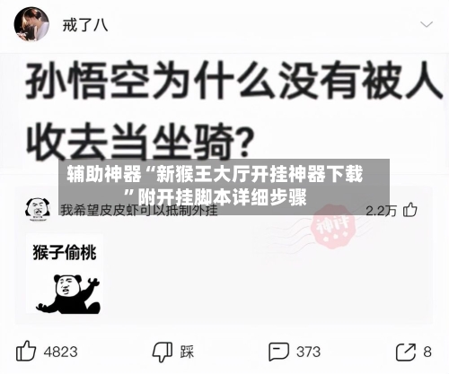 辅助神器“新猴王大厅开挂神器下载”附开挂脚本详细步骤-第3张图片