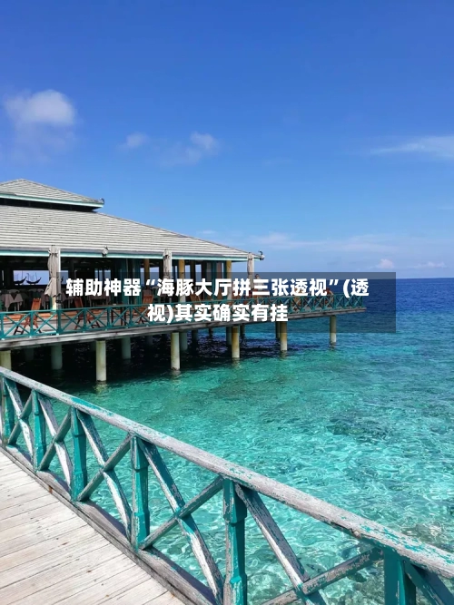 辅助神器“海豚大厅拼三张透视	”(透视)其实确实有挂-第2张图片