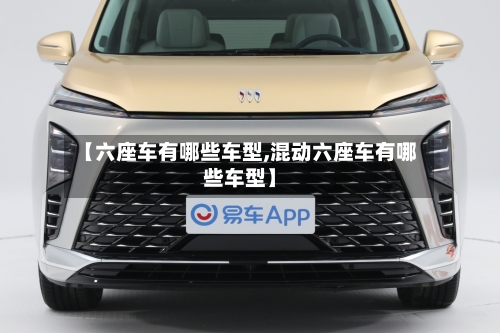 【六座车有哪些车型,混动六座车有哪些车型】-第2张图片