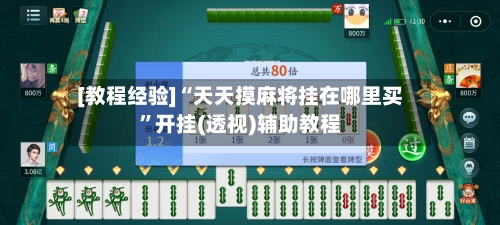 [教程经验]“天天摸麻将挂在哪里买”开挂(透视)辅助教程-第3张图片