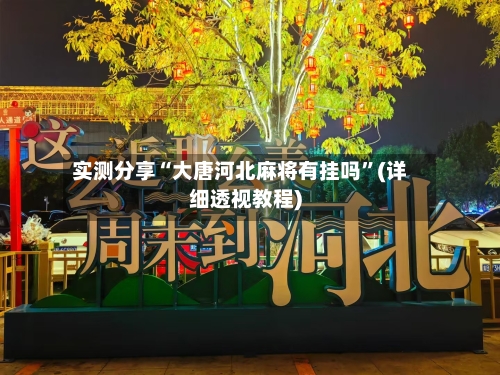 实测分享“大唐河北麻将有挂吗”(详细透视教程)-第2张图片