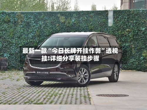 最新一款“今日长牌开挂作弊”透视挂!详细分享装挂步骤-第2张图片