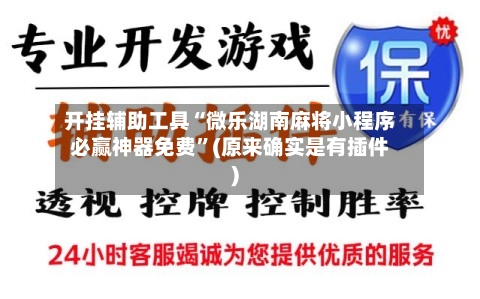 开挂辅助工具“微乐湖南麻将小程序必赢神器免费”(原来确实是有插件)-第2张图片