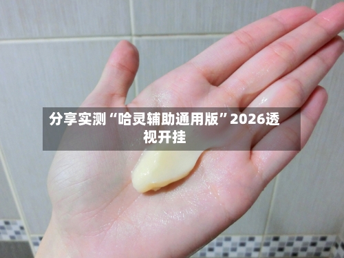 分享实测“哈灵辅助通用版”2026透视开挂-第2张图片