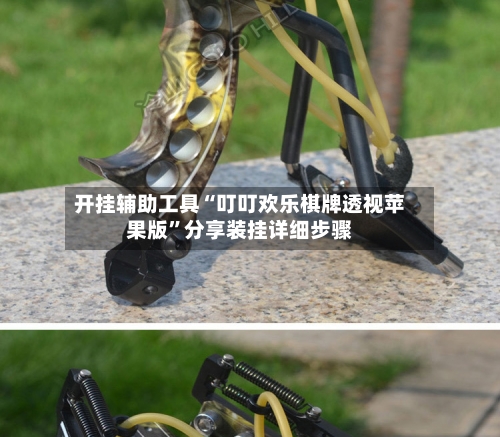 开挂辅助工具“叮叮欢乐棋牌透视苹果版	”分享装挂详细步骤-第3张图片