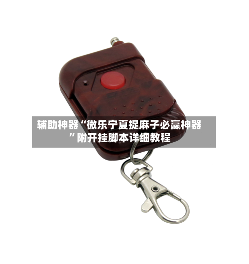 辅助神器“微乐宁夏捉麻子必赢神器	”附开挂脚本详细教程-第1张图片