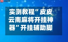 实测教程”皮皮云南麻将开挂神器	”开挂辅助脚本+详细-第1张图片