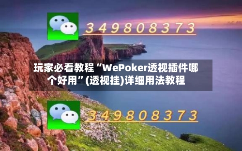 玩家必看教程“WePoker透视插件哪个好用”(透视挂)详细用法教程-第3张图片