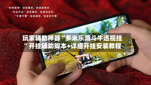 玩家辅助神器“多米乐游斗牛透视挂”开挂辅助脚本+详细开挂安装教程-第2张图片