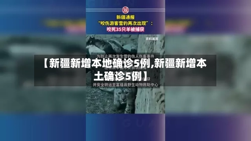 【新疆新增本地确诊5例,新疆新增本土确诊5例】-第1张图片