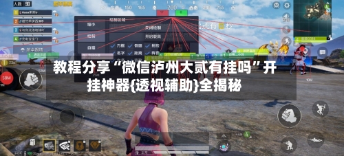 教程分享“微信泸州大贰有挂吗”开挂神器{透视辅助}全揭秘-第3张图片