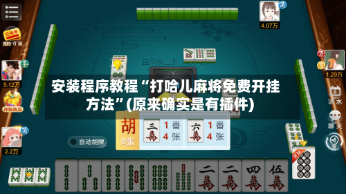 安装程序教程“打哈儿麻将免费开挂方法”(原来确实是有插件)-第2张图片