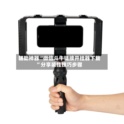 辅助神器“微信斗牛链接开挂器下载	”分享装挂技巧步骤-第3张图片