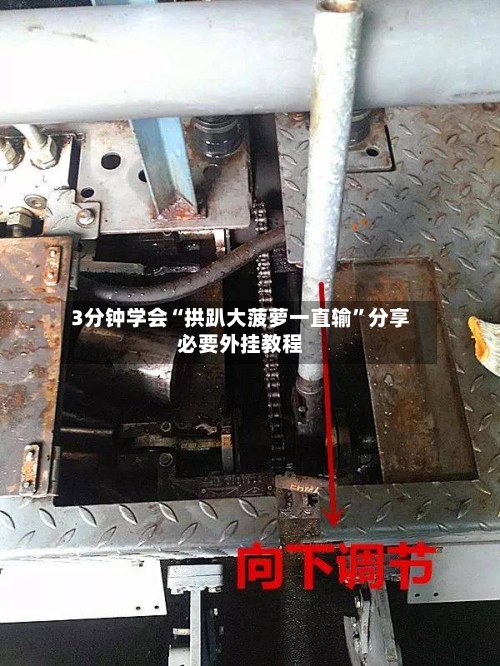 3分钟学会“拱趴大菠萝一直输”分享必要外挂教程-第1张图片