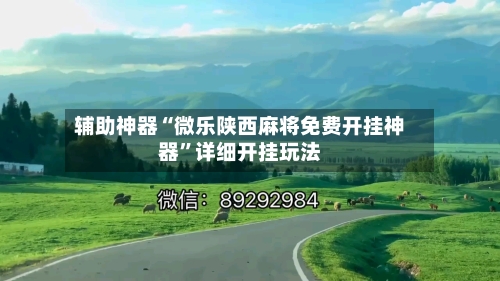 辅助神器“微乐陕西麻将免费开挂神器”详细开挂玩法-第1张图片