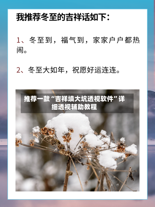 推荐一款“吉祥填大坑透视软件	”详细透视辅助教程-第1张图片