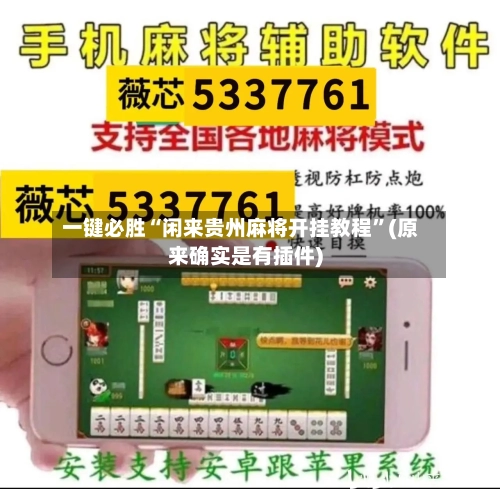 一键必胜“闲来贵州麻将开挂教程”(原来确实是有插件)-第3张图片