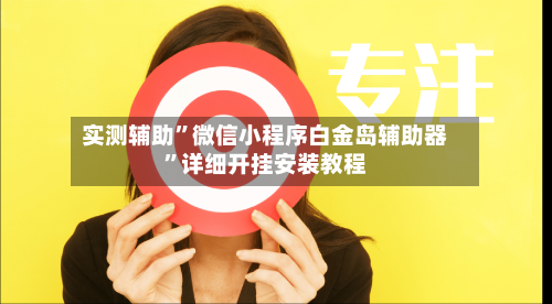 实测辅助”微信小程序白金岛辅助器	”详细开挂安装教程-第3张图片