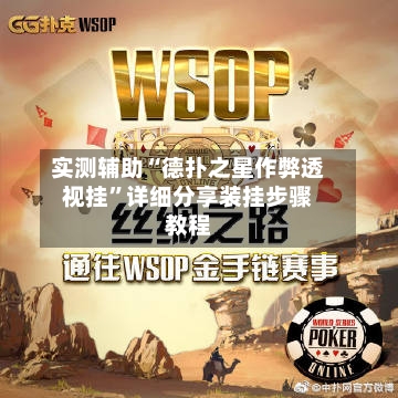 实测辅助“德扑之星作弊透视挂”详细分享装挂步骤教程-第1张图片