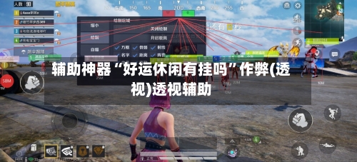 辅助神器“好运休闲有挂吗”作弊(透视)透视辅助-第3张图片