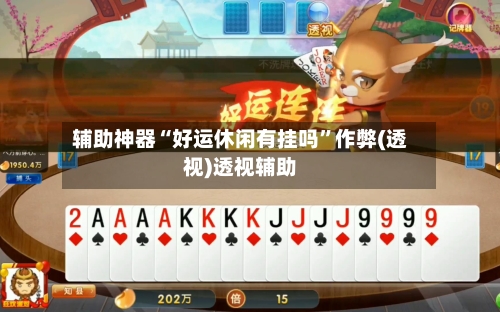 辅助神器“好运休闲有挂吗”作弊(透视)透视辅助-第1张图片