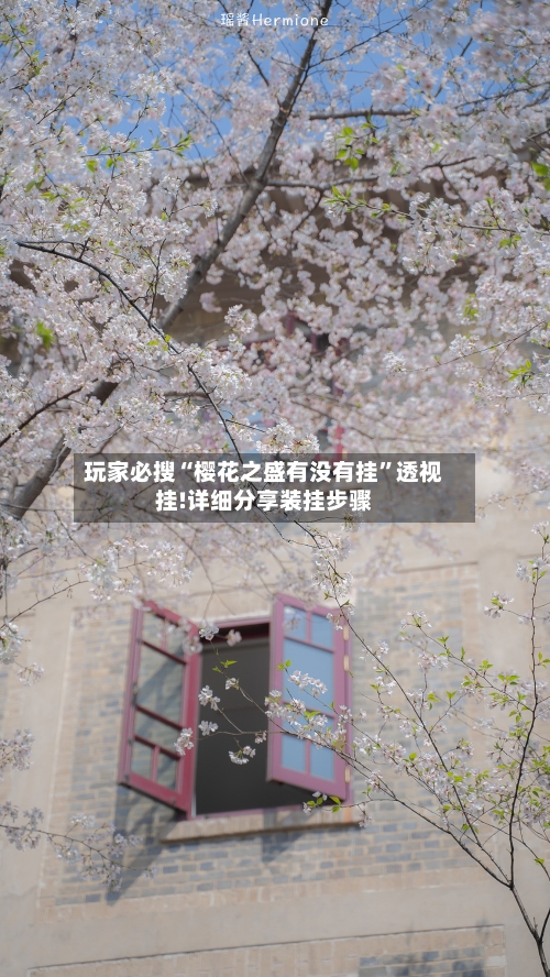 玩家必搜“樱花之盛有没有挂”透视挂!详细分享装挂步骤-第3张图片