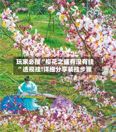 玩家必搜“樱花之盛有没有挂”透视挂!详细分享装挂步骤-第2张图片
