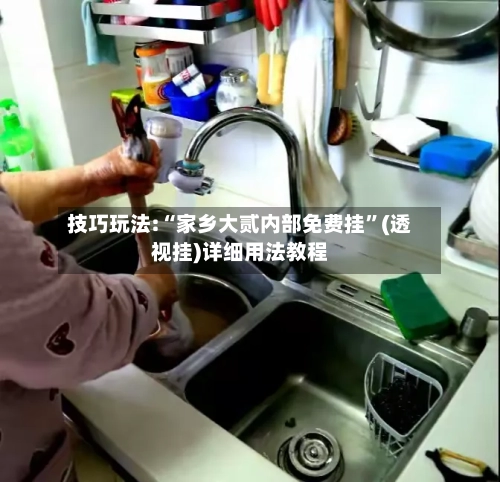 技巧玩法:“家乡大贰内部免费挂”(透视挂)详细用法教程-第1张图片