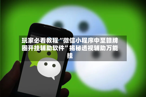 玩家必看教程“微信小程序中至赣牌圈开挂辅助软件”揭秘透视辅助万能挂-第1张图片