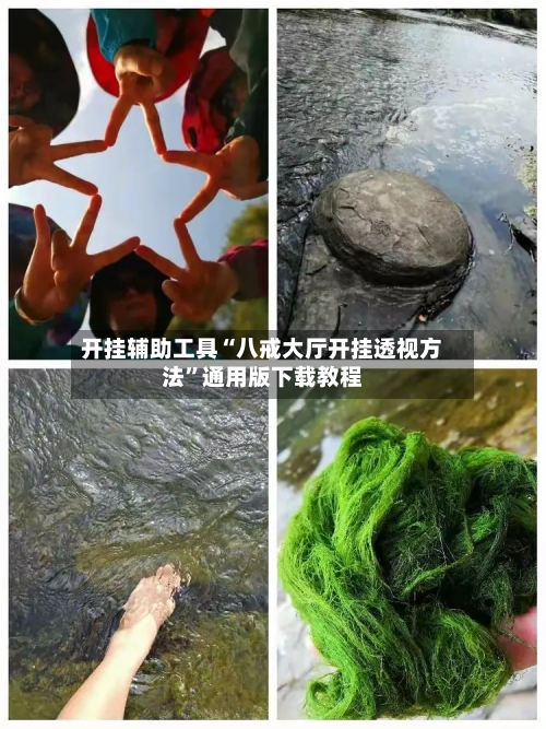 开挂辅助工具“八戒大厅开挂透视方法	”通用版下载教程-第3张图片