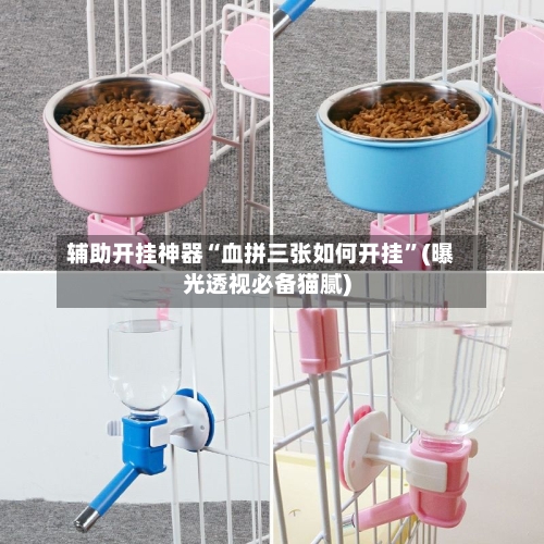 辅助开挂神器“血拼三张如何开挂”(曝光透视必备猫腻)-第1张图片