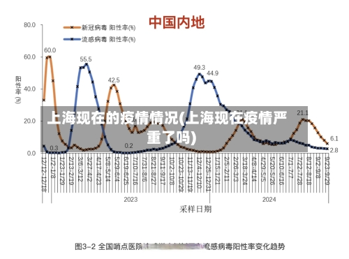 上海现在的疫情情况(上海现在疫情严重了吗)-第3张图片
