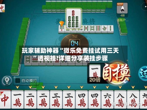 玩家辅助神器“微乐免费挂试用三天”透视挂!详细分享装挂步骤-第3张图片